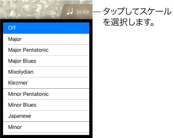 Bassの「Scale」ボタンとスケールリスト