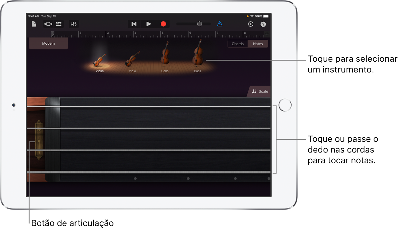 Vista de notas no instrumento táctil Cordas