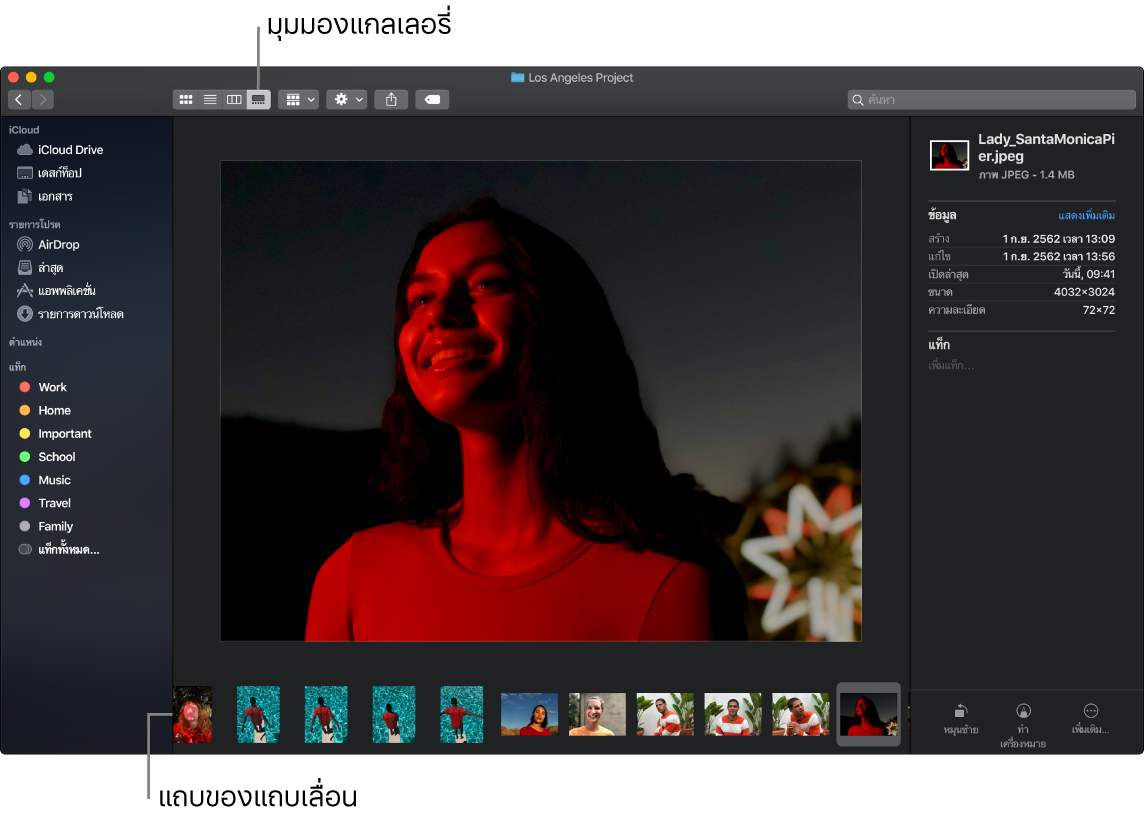 หน้าต่าง Finder ที่เปิดอยู่ในมุมมองแกลเลอรี่ ซึ่งแสดงรูปภาพขนาดใหญ่ที่มีแถวของรูปภาพขนาดเล็กกว่า เรียกว่าแถบของแถบเลื่อน ซึ่งอยู่ด้านใต้รูปภาพขนาดใหญ่ ตัวควบคุมสำหรับหมุน ทำเครื่องหมาย และอื่นๆ อยู่ทางด้านขวาของแถบของแถบเลื่อน
