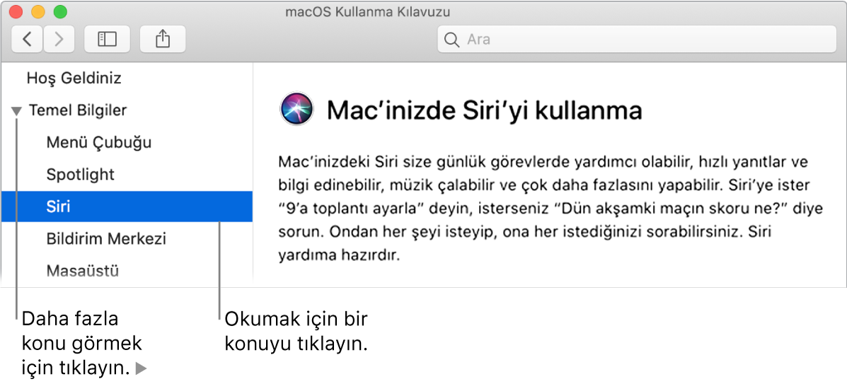 Yardım görüntüleyici, kenar çubuğunda listelenen konuların gösterilmesini ve bir konunun içeriğinin görüntülenmesini gösteriyor.