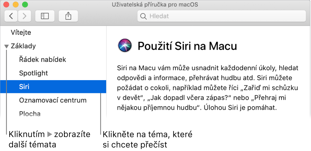 Prohlížeč nápovědy s informacemi o tom, jak zobrazit témata uvedená na bočním panelu a jak otevřít obsah tématu