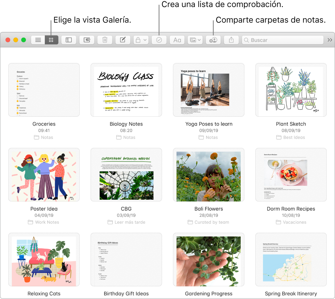 Una ventana de Notas que muestra el botón para elegir la visualización como galería, el botón de lista de comprobación y el botón para compartir la carpeta.