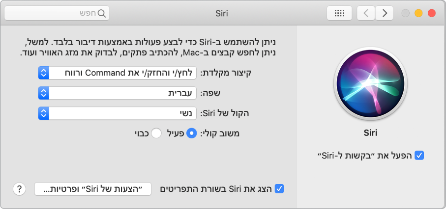 חלון ההעדפות של Siri עם האפשרות ״הפעל את ׳בקשות ל‑Siri׳״ נבחרת משמאל ומספר אפשרויות להתאמה אישית של Siri מימין.