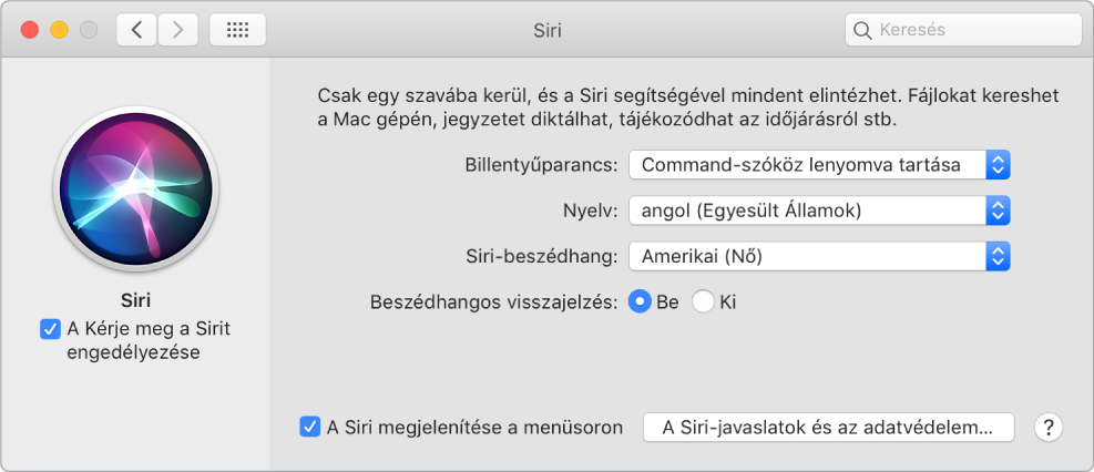 A Siri-beállítások ablaka, amelynek bal oldalán be van jelölve A Siri megkérdezésének engedélyezése jelölőnégyzet, jobb oldalán pedig számos különböző beállítás található a Siri testreszabásához.