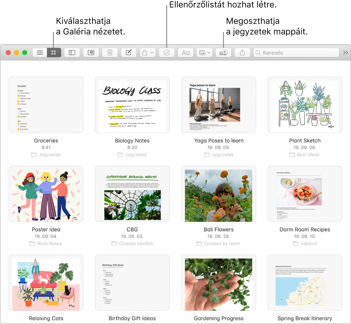 A Jegyzetek ablaka a galérianézet kiválasztása gombbal, az ellenőrzőlista gombbal és a mappa megosztása gombbal.
