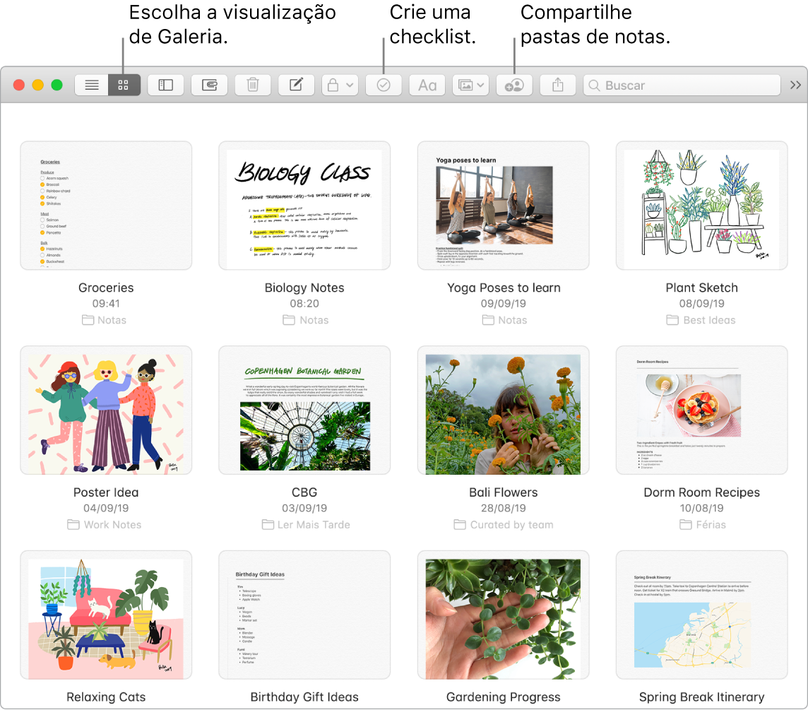 Uma janela do app Notas mostrando o botão de escolha da visualização de galeria, o botão de checklist e o botão compartilhar pasta.