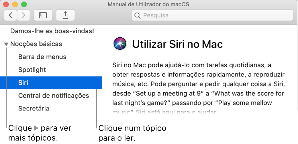 Visualizador da Ajuda a mostrar a forma de visualizar tópicos listados na barra lateral e como apresentar o conteúdo de um tópico.