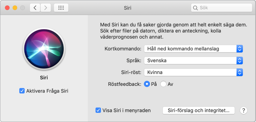 Inställningsfönstret för Siri med Aktivera Prata med Siri markerat till vänster och flera alternativ för anpassning av Siri till höger.