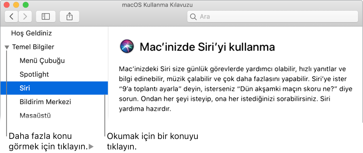 Yardım görüntüleyici, kenar çubuğunda listelenen konuların gösterilmesini ve bir konunun içeriğinin görüntülenmesini gösteriyor.