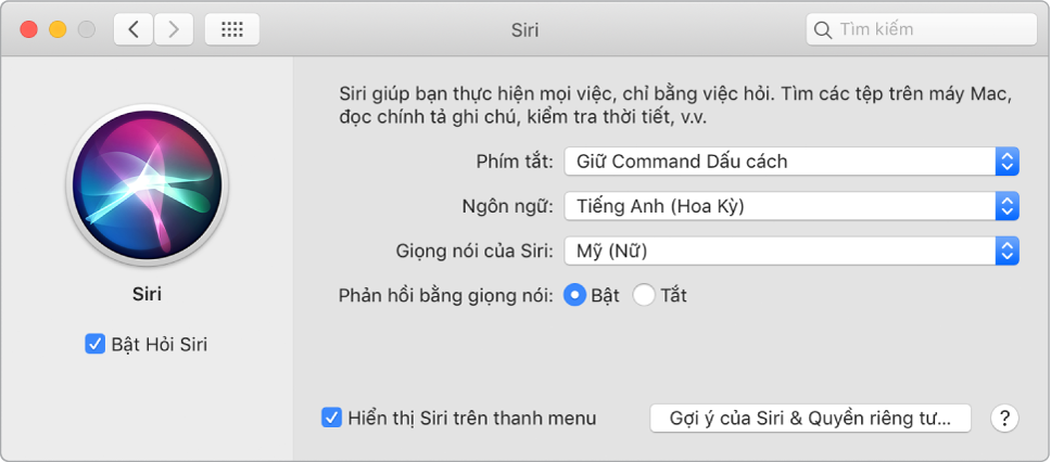 Cửa sổ tùy chọn Siri với Bật Hỏi Siri được chọn ở bên trái và một số tùy chọn để tùy chỉnh Siri ở bên phải.