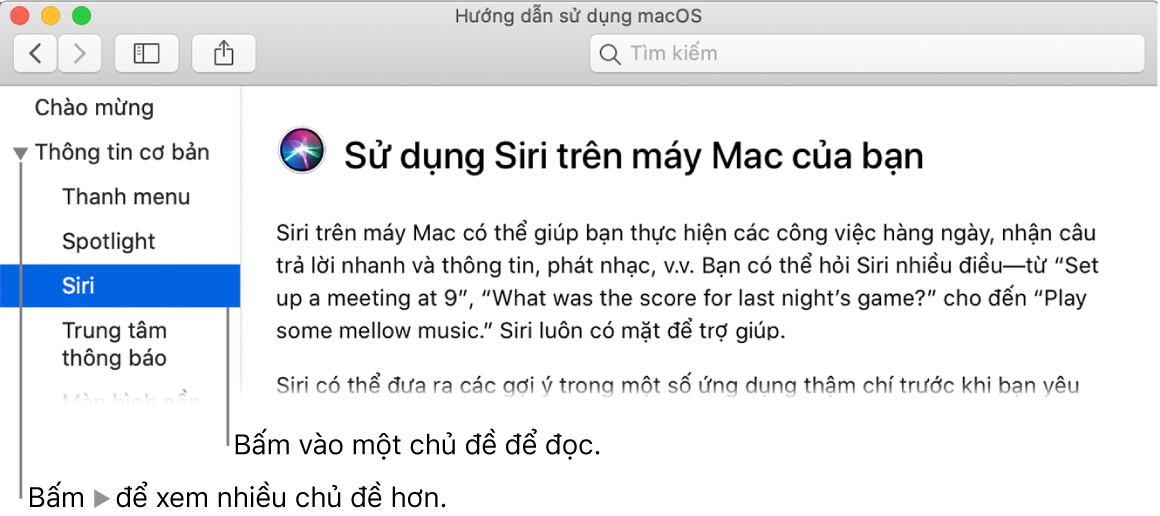 Trình xem Trợ giúp đang minh họa cách xem các chủ đề được liệt kê trong thanh bên và cách hiển thị nội dung của một chủ đề.