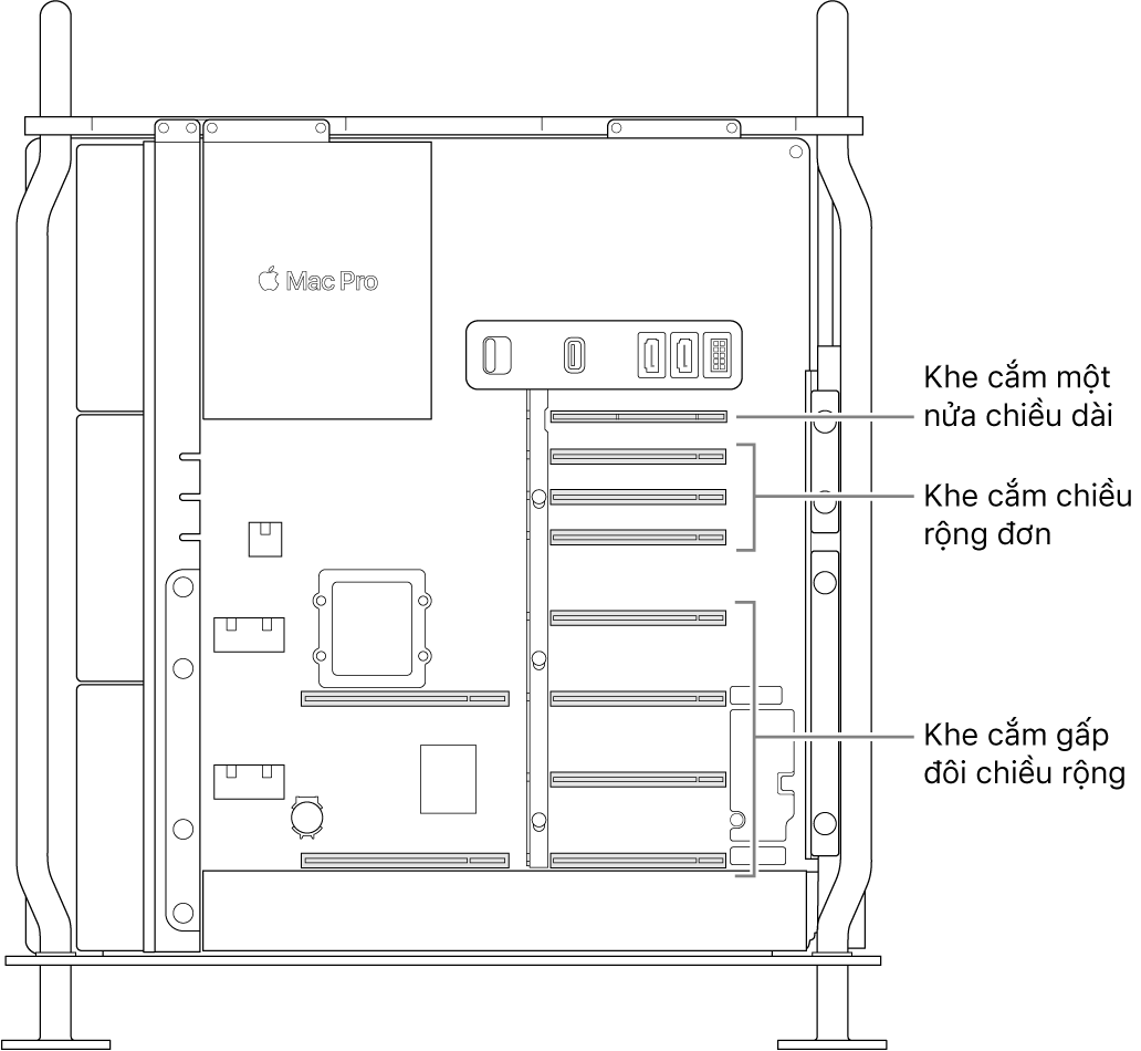 Mặt bên của Mac Pro được mở với các chú thích minh họa vị trí của bốn khe cắm gấp đôi chiều rộng, ba khe cắm chiều rộng đơn và khe cắm một nửa chiều dài.