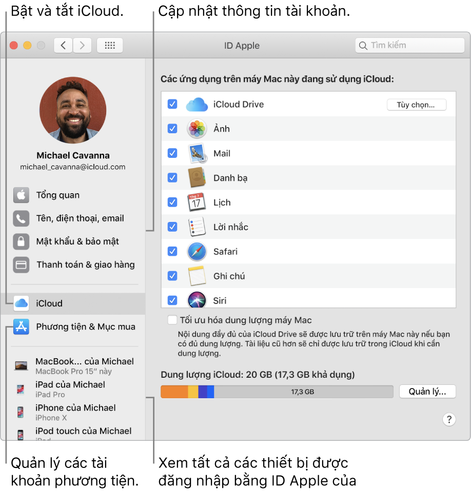 Khung ID Apple trong Tùy chọn hệ thống. Bấm vào một mục trong thanh bên để cập nhật thông tin tài khoản của bạn, bật hoặc tắt iCloud, quản lý các tài khoản phương tiện và xem tất cả các thiết bị được đăng nhập bằng ID Apple của bạn.