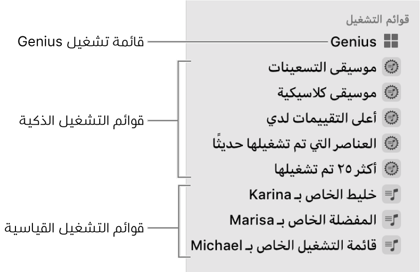 الشريط الجانبي للموسيقى أنواعًا مختلفة من قوائم التشغيل: قائمة تشغيل Genius وقائمة التشغيل الذكية وقائمة التشغيل القياسية.