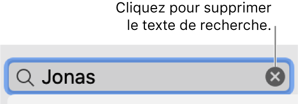 Le champ de recherche avec du texte saisi; le bouton Supprimer se trouve sur le côté droit du champ.