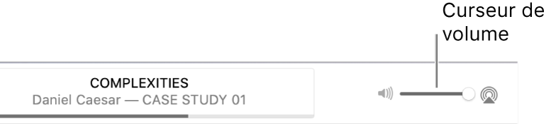 Le curseur de volume.