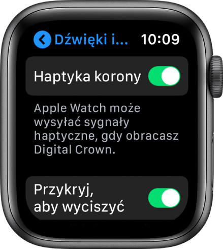 Ekran Haptyka korony, na którym widoczny jest włączony przełącznik Haptyka korony.