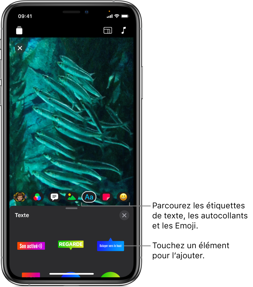 Une image vidéo dans le visualiseur, avec Texte sélectionné et les options d’étiquette de texte affichées en bas.