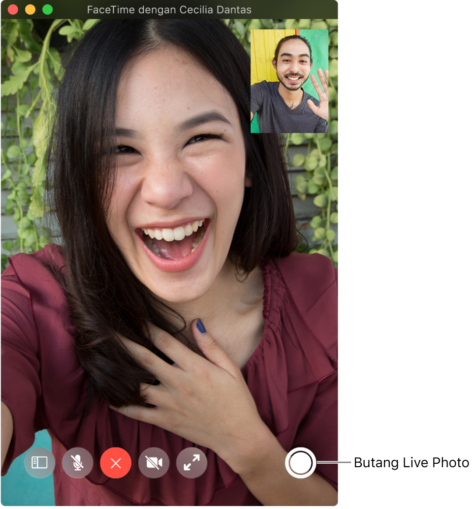 Alihkan penuding ke atas tetingkap FaceTime untuk melihat butang Live Photo.