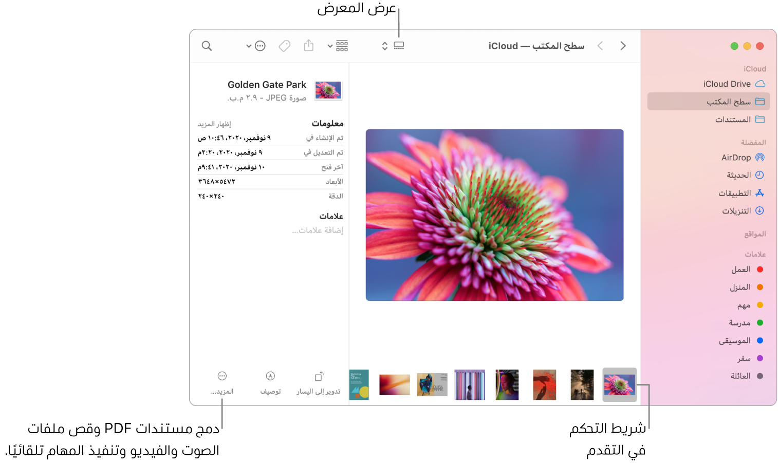 نافذة Finder مفتوحة في عرض المعرض وتظهر فيها صورة كبيرة وأسفلها صف من الصور الصغيرة، وهو شريط التحكم في التقدم. وتظهر على يسار شريط التحكم في التقدم عناصر تحكم للتدوير والتوصيف والمزيد.