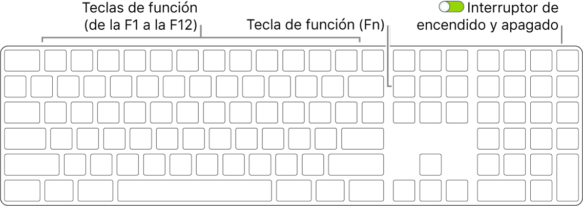 Teclado Magic Keyboard con la tecla de función (Fn) en la parte inferior izquierda y el interruptor de encendido/apagado en la esquina superior derecha del teclado.