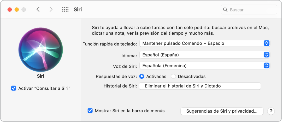 La ventana de preferencias de Siri, donde la casilla “Activar Siri” aparece seleccionada a la izquierda y se muestran varias opciones para personalizar Siri a la derecha.