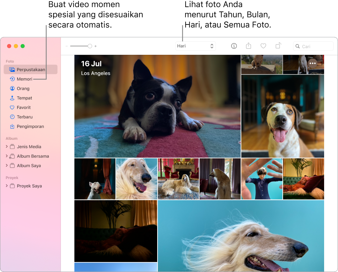 Jendela Foto menampilkan fitur Memori di bar samping kiri dan menu pop-up di bagian atas jendela Foto, tempat Anda dapat melihat foto di album Anda menurut hari, minggu, bulan, dan tahun.