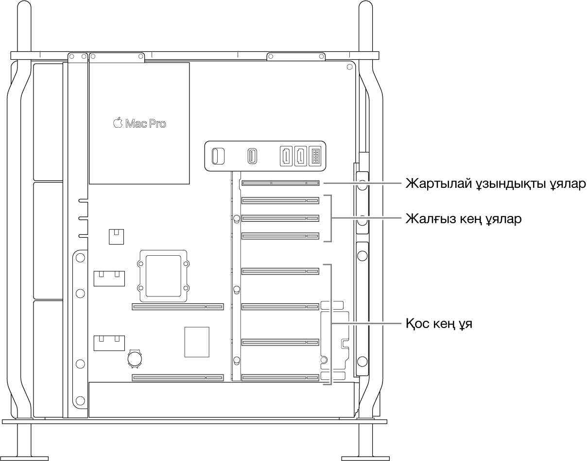 Төрт екілік кең ұяның, үш бірлік кең ұяның және жартылай ұзындықты ұяның орналасқан жерін көрсететін тілше деректері бар ашық Mac Pro компьютерінің бүйірі.