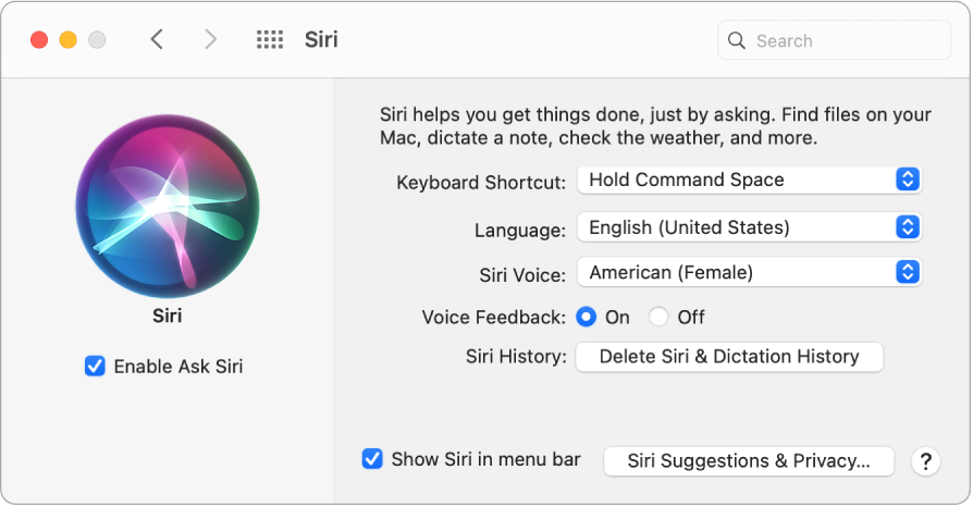 Сол жағында Enable Ask Siri параметрі таңдалған, ал оң жағында Siri көмекшісін теңшеуге арналған бірнеше параметрлер бар Siri preferences терезесі.