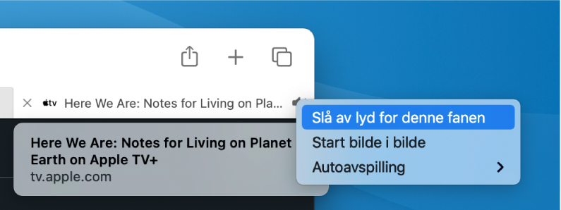 Undermenyen for Lyd-symbolet, med Slå av lyd for denne fanen, Start bilde i bilde og Autoavspilling.