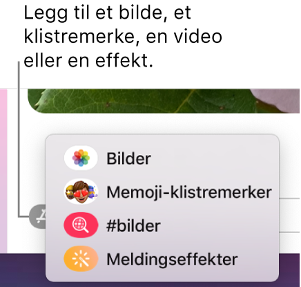 Programmenyen, med valg for å vise bilder, Memoji-klistremerker, GIF-er og meldingseffekter.