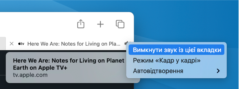 Підменю іконки «Аудіо» з елементами «Вимкнути звук із цієї вкладки», «Кадр у кадрі» та «Автовідтворення».