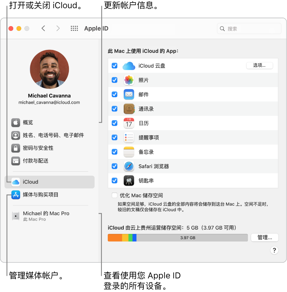 “系统偏好设置”的“Apple ID”面板。点按边栏中的一项以更新帐户信息，打开或关闭 iCloud，管理媒体帐户，以及查看使用您 Apple ID 登录的所有设备。