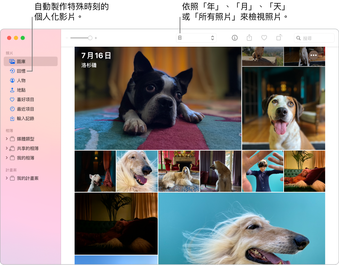 「照片」視窗在左側側邊欄中顯示「回憶」功能，而最上方為您可在相簿中依照日期、星期、月份和年度來檢視照片的彈出式選單。