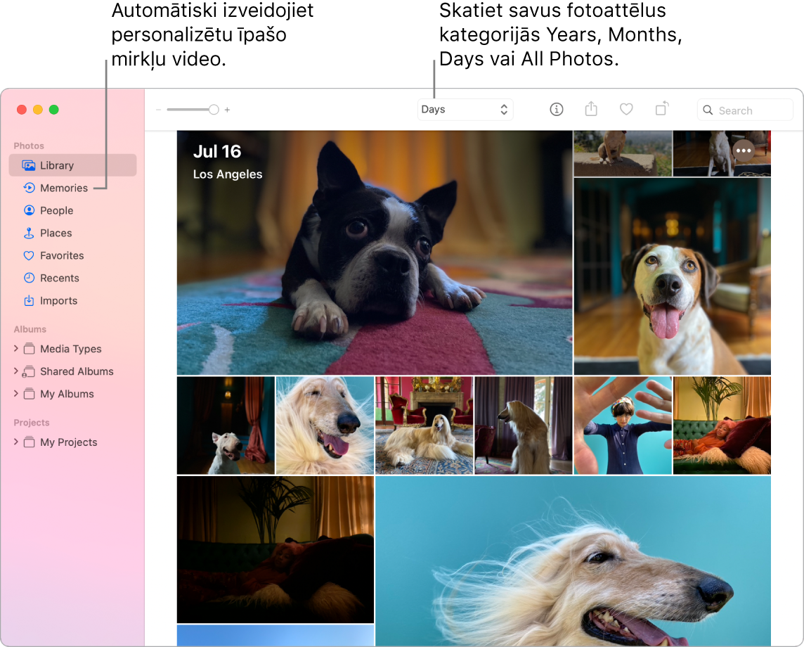Lietotnes Photos loga kreisajā sānu joslā redzama funkcija Memories; loga augšdaļā ir uznirstošā izvēlne, kurā varat skatīt savus fotoattēlus sakārtotus albumos pa dienām, nedēļām, mēnešiem vai gadiem.
