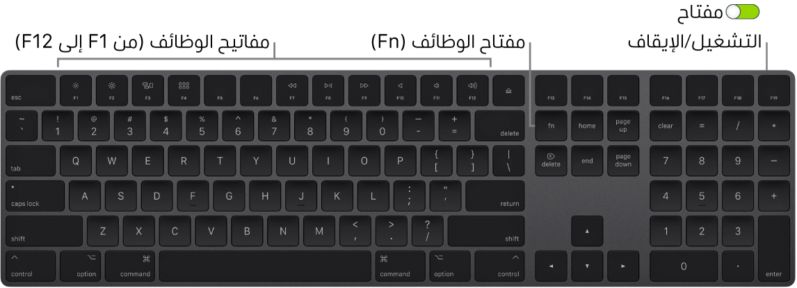 لوحة مفاتيح Magic Keyboard تظهر مفتاح الوظائف (Fn) في الزاوية السفلية اليسرى ومفتاح التشغيل/إيقاف التشغيل في الزاوية العلوية اليمنى من لوحة المفاتيح.