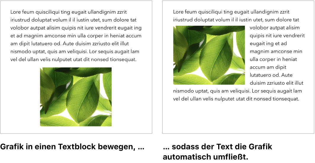 Pages-Fenster mit Grafik, die vom Text umflossen wird.