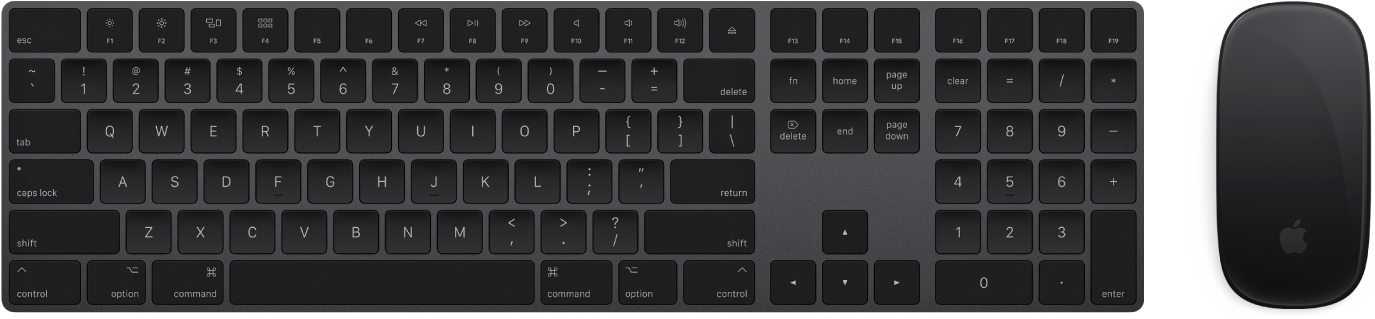 The Magic Keyboard with Numeric Keypad and Magic Mouse 2, which come with your iMac Pro.