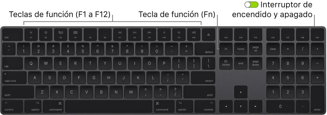 Teclado Magic Keyboard de mostrando la tecla de función (Fn) en la esquina inferior izquierda y el botón de encendido/apagado en la esquina superior derecha del teclado.