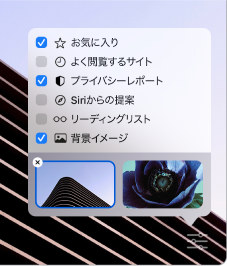 「Safariをカスタマイズ」ポップアップメニュー。「お気に入り」、「よく閲覧するサイト」、「プライバシーレポート」、「Siriからの提案」、「リーディングリスト」、「背景イメージ」のチェックボックスが示されています。