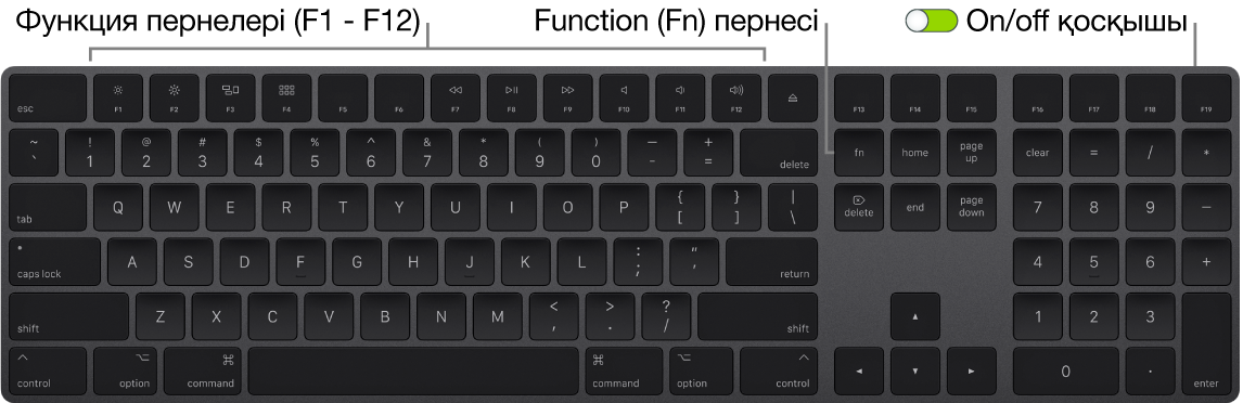 Төменгі сол жақ бұрышта Function (Fn) пернесін және пернетақтаның жоғарғы оң жақ бұрышында on/off қосқышын көрсетіп тұрған Magic Keyboard пернетақтасы.