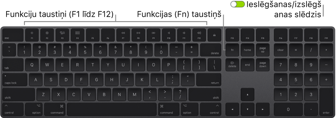 Tastatūras Magic Keyboard kreisajā apakšējā stūrī redzams taustiņš Function (Fn) un tastatūras augšējā labajā stūrī ieslēgšanas/izslēgšanas slēdzis.