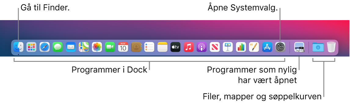 Dock, som viser Finder, Systemvalg og linjen i Dock som skiller programmer fra filer og mapper.