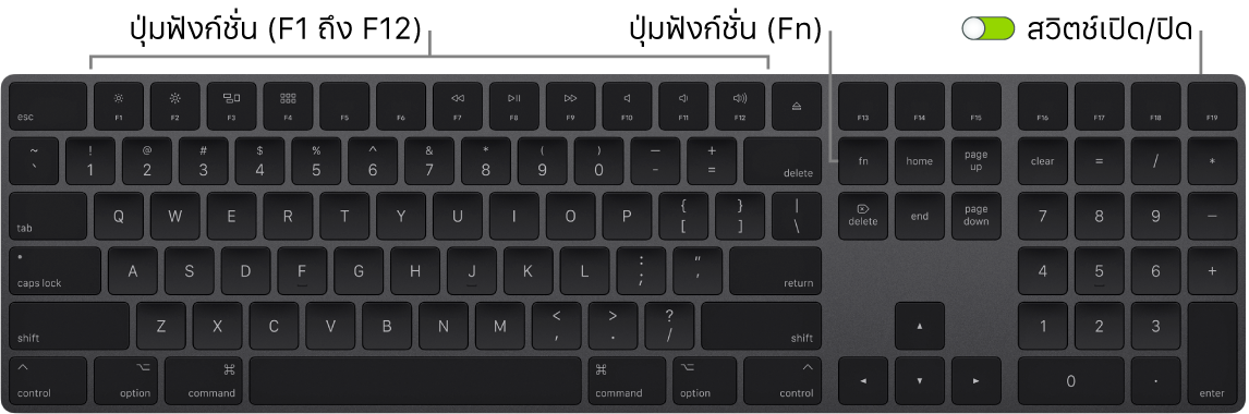 Magic Keyboard ที่แสดงปุ่ม Function (Fn) ที่มุมซ้ายล่างสุด และสวิตช์เปิด/ปิดเครื่องที่มุมขวาบนสุดของแป้นพิมพ์