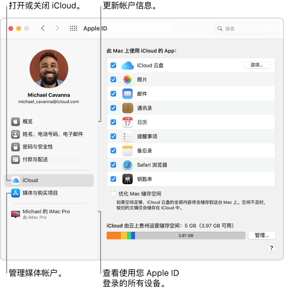 “系统偏好设置”的“Apple ID”面板。点按边栏中的一项以更新帐户信息，打开或关闭 iCloud，管理媒体帐户，以及查看使用您 Apple ID 登录的所有设备。