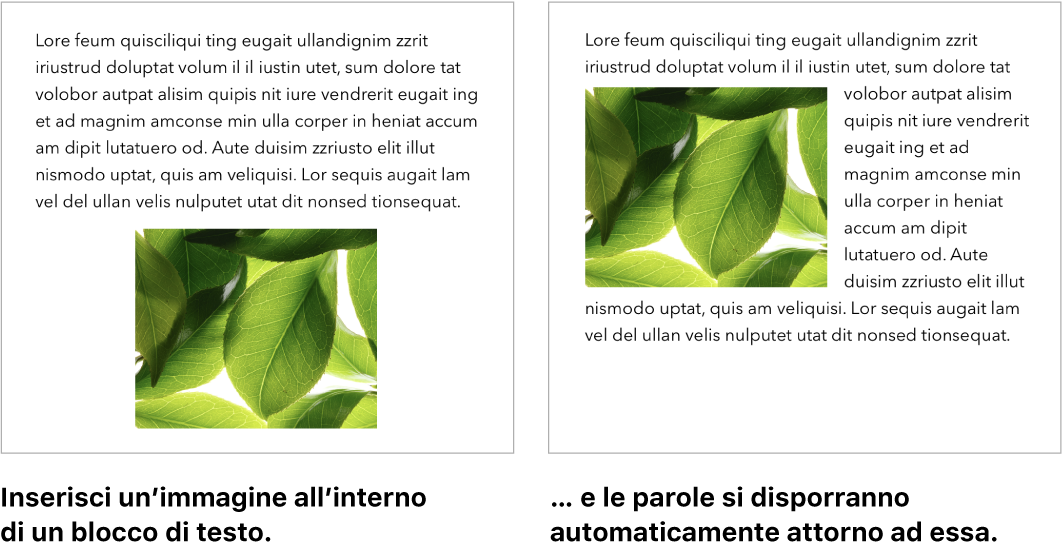 Una finestra di Pages che illustra come il testo si dispone attorno alla grafica.