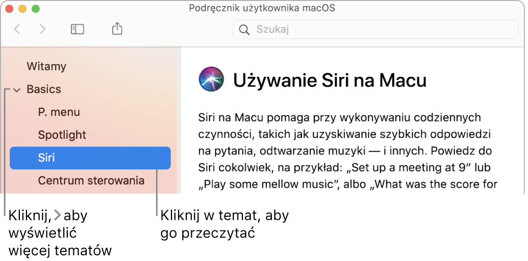 Okno przeglądarki pomocy; ilustracja przedstawia sposób wyświetlania tematów na pasku bocznym oraz sposób wyświetlania zawartości otwartego tematu pomocy.