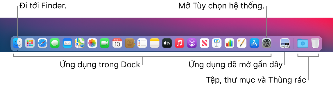 Dock, đang hiển thị Finder, Tùy chọn hệ thống và đường thẳng trên Dock chia tách ứng dụng khỏi các tệp và thư mục.
