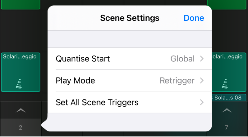 Scene Settings menu.