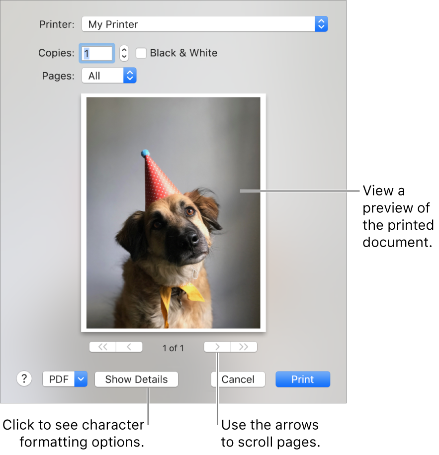 Icons in the Printer pop-up menu indicate the printer’s status. The Print dialogue shows a small preview of your print job. Click the Show Details button to see all print options.